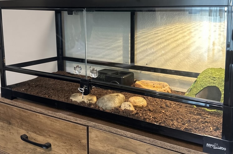 REPTI ZOO 20-gallon front-opening terrarium nearly fully assembled